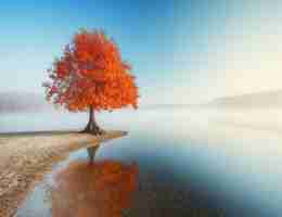 精‍准​AI自‍动‍化﻿平‌台‍